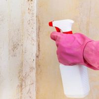 Espera, no pintes todavía: el trucazo para sacar las manchas de humedad de tus paredes