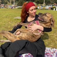 Un cocodrilo devoró a la perrita de la actriz Ariadne Díaz
