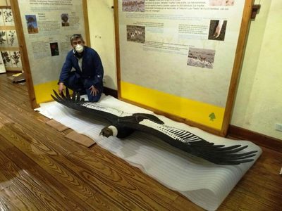 Cambios y renovación en el Museo barilochense de la Patagonia