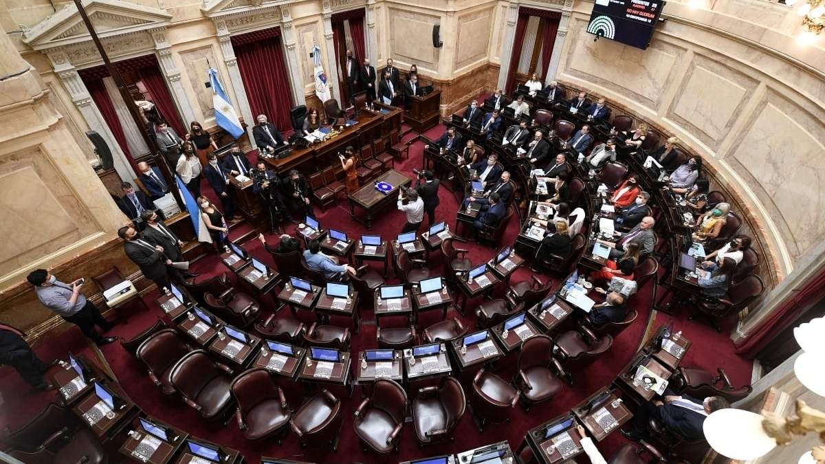 El Senado durante la votación sobre el acuerdo con el FMI. Fuente: (Twitter)