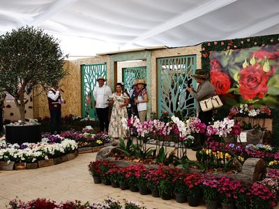 Compran 1 millón de plantas para embellecer la CDMX rumbo al Mundial 2026