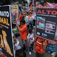 Marcha Nacional por el derecho de los animales en la CDMX