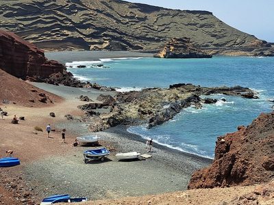 La playa argentina que regala avistajes de delfines en verano: descubrí cómo llegar