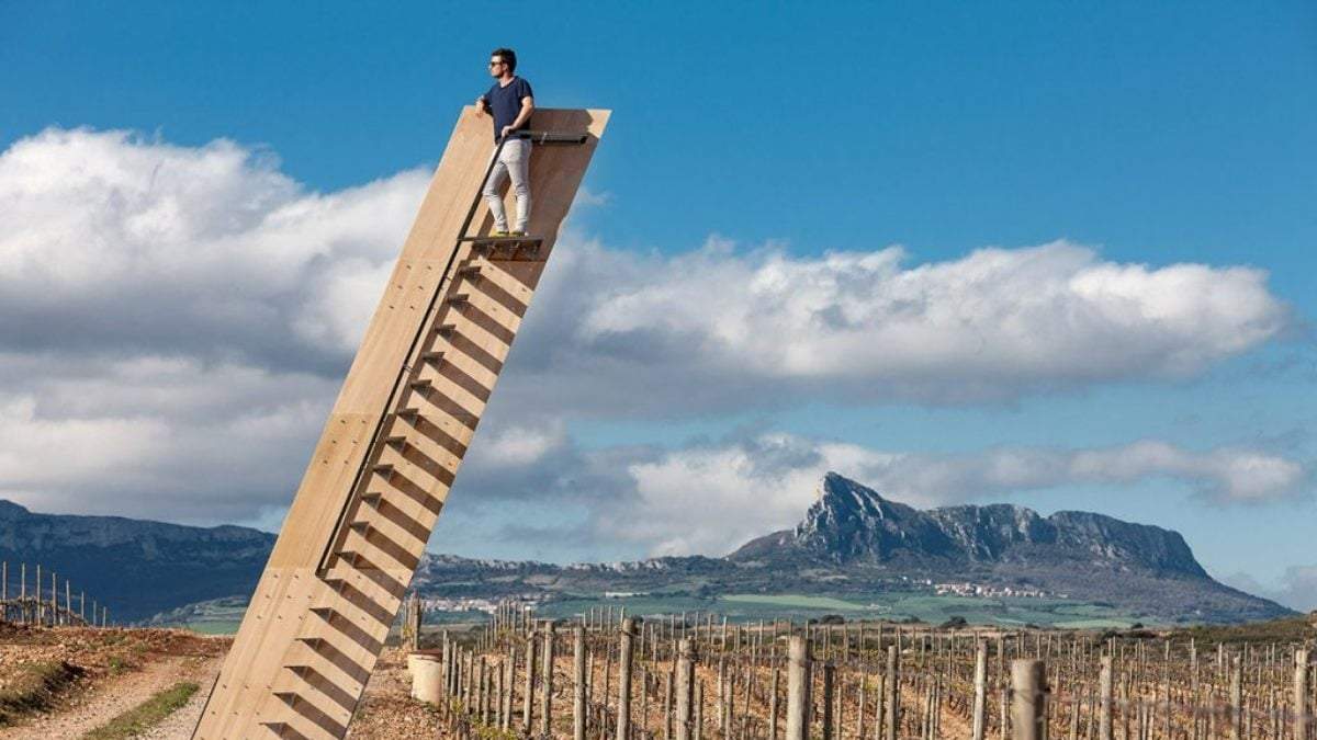 Obras de arte en viñedos. Fuente: (Instagram)