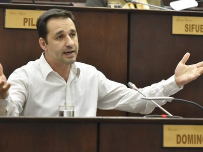 La Justicia electoral sancionará al candidato del MPN Claudio Domínguez