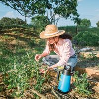 Aliadas verdes: tres plantas perfectas para ahuyentar alacranes, garrapatas y hormigas de tu casa