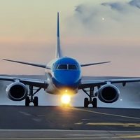 Basta de paros: Aerolíneas Argentinas busca quitar al sindicalista Pablo Biró de su directorio