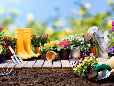 La técnica que los jardineros callan para tener tus plantas y jardín en perfectas condiciones y como de revista