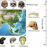 Posible nueva especie humana revelada en Asia