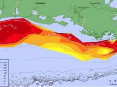 La zona muerta del Golfo de México se mantiene sobre más de 10 mil km2