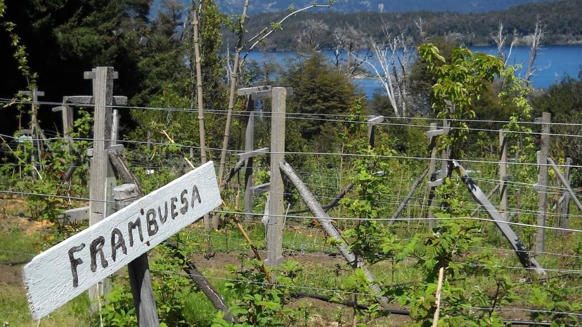 Huertas para visitar en La Angostura. Fuente: (Instagram)