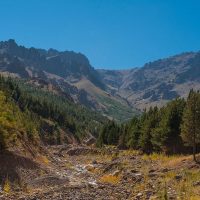 Bosque Comunal de Huinganco: un destino donde los árboles y la historia te guían