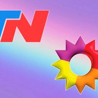 La destacada periodista de TN y El Trece que confirmó su embarazo