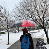 Clima en Neuquén: qué dice el pronóstico del tiempo para este sábado