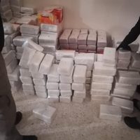 FGR y Sedena decomisan más de dos toneladas de cocaína en casa de Tapachula, Chiapas