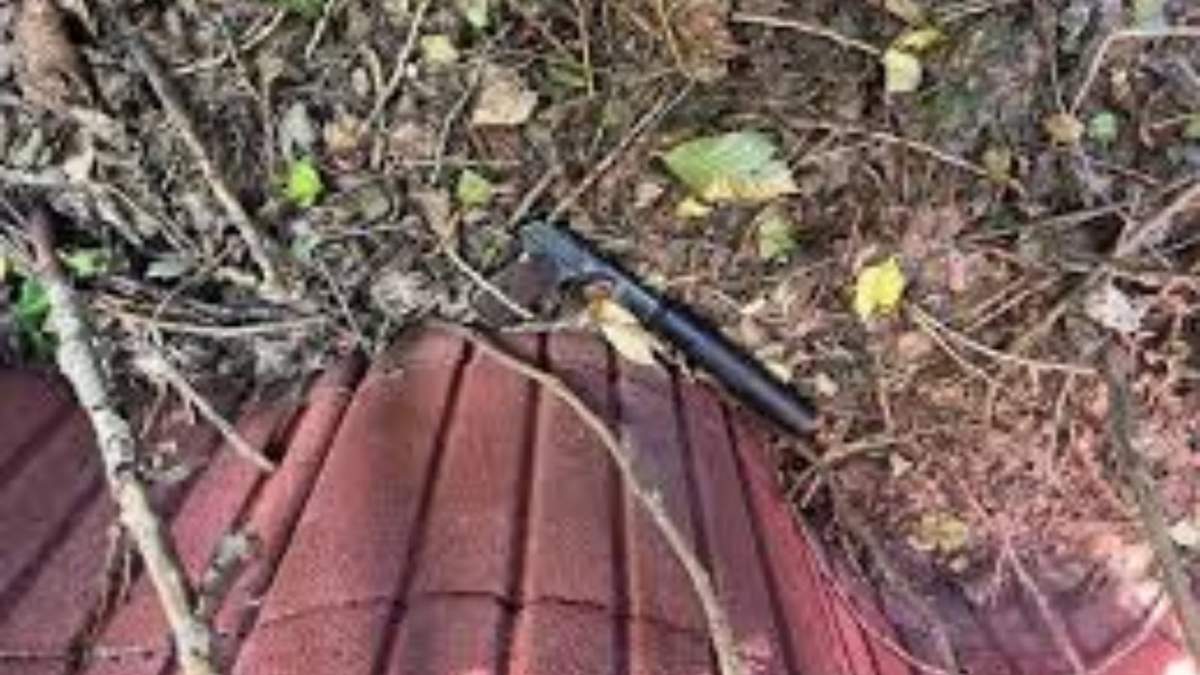 Identifican a los presuntos responsables del intento de asesinato de un bloguero de oposición