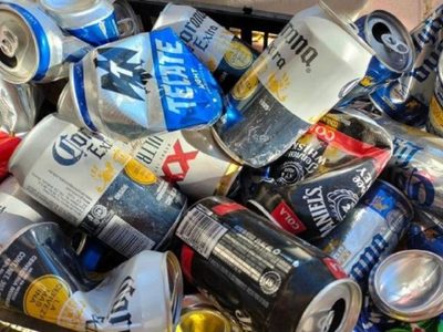 Ya no tires las latas de cerveza: creá estos hermosos y muy creativos maceteros para tu jardín