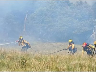 Después de 34 días de intensa lucha brigadistas lograron contener el incendio en Valle Magdalena