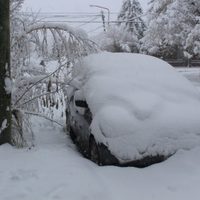 En Zapala continúa nevando y la situación comienza a complicarse