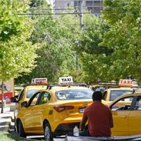 Un perro de la raza pitbull atacó a un taxista y le provocó graves heridas