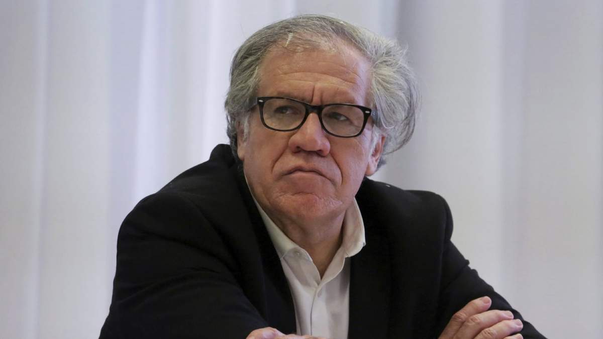 El secretario general de la OEA, Luis Almagro. Fuente: (Twitter)