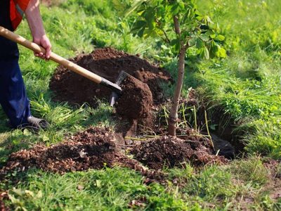 Propuesta sustentable en Filipinas para cuidar el medio ambiente