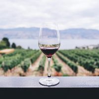 Cambios de paradigma para la venta de vinos