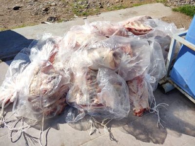 Secuestraron 300 kilos de carne con hueso en Catriel