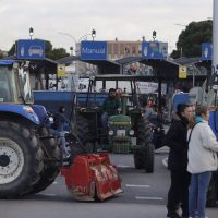 Agricultores de 10 países unen fuerzas, y tractores, contra la política agraria de la UE