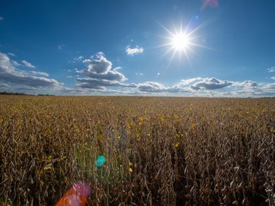 Alianza con Cataluña: oportunidad para modernizar el campo mexicano