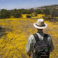 Botánicos de México y EU documentan un ecosistema dividido por el muro fronterizo