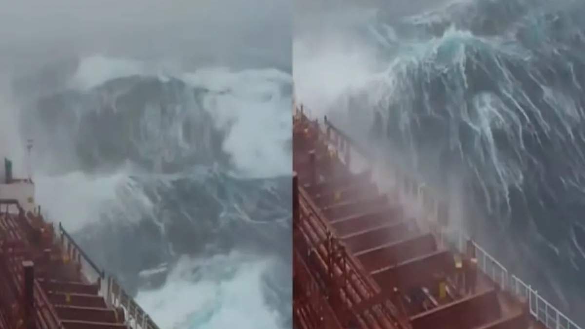 Tripulantes de barcos cargueros filman olas gigantes y las comparten en redes sociales