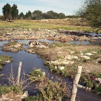 Presentaron un proyecto para la protección integral de los humedales