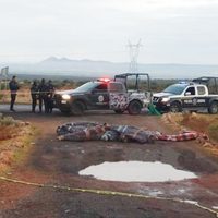 Hallan 14 cadáveres sobre la carretera Zacatecas-Durango