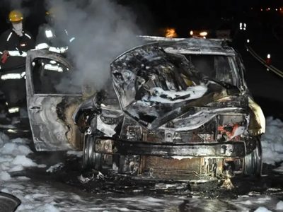 Una camioneta chocó contra un caballo suelto en ruta Siete Lagos y se incendió por completo