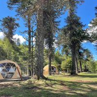 Dormir junto al lago en Villa Pehuenia: el glamping que apuesta al bienestar y la naturaleza