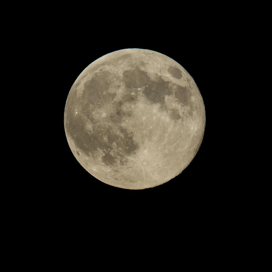 Must be a full moon, feels like one of those nights ??_If you’re in search of something to do th