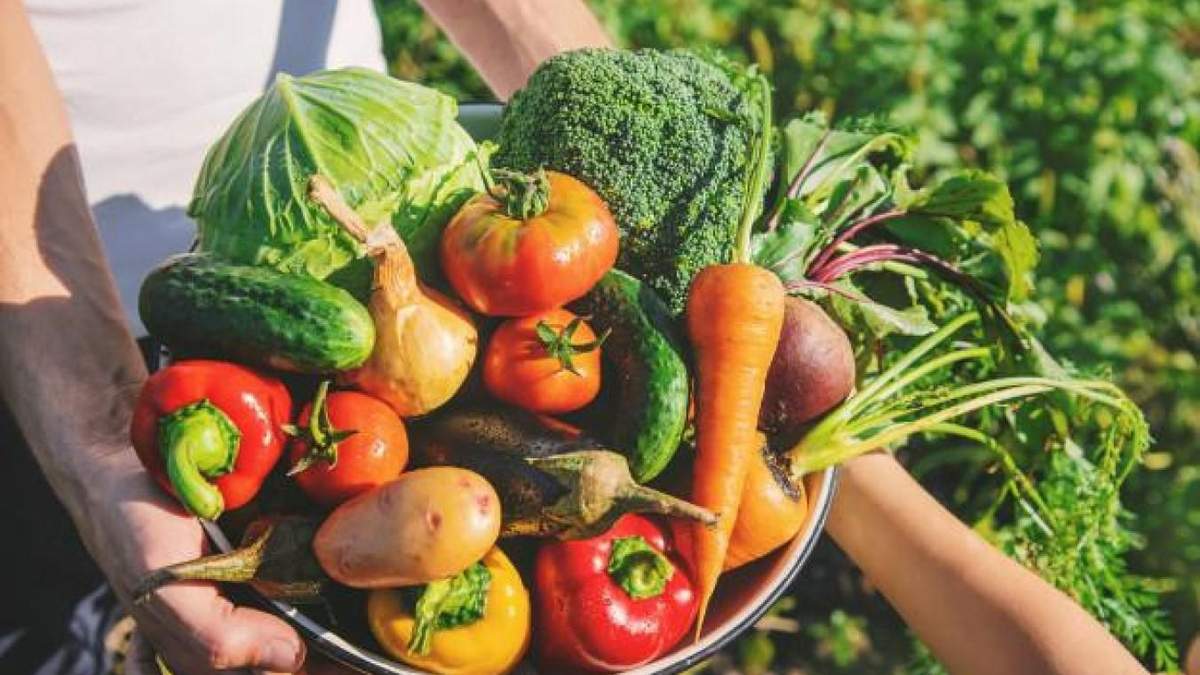 El futuro y la gastronomía sustentable. Fuente: (Instagram)