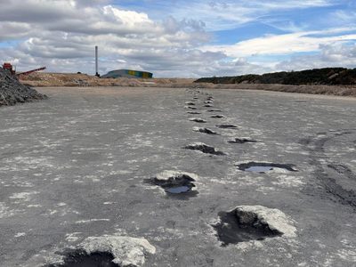 Descubren 200 huellas de dinosaurios de 166 millones de años de antigüedad