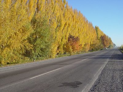 Por amparo colectivo de Río Negro, Vialidad Nacional deberá reparar la Ruta 151