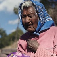 Traductores en lenguas indígenas para frenar el racismo
