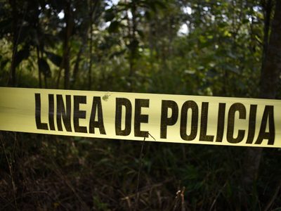 Brigada Nacional de Búsqueda halla 70 restos humanos en fosa clandestina en Mixtlalcingo
