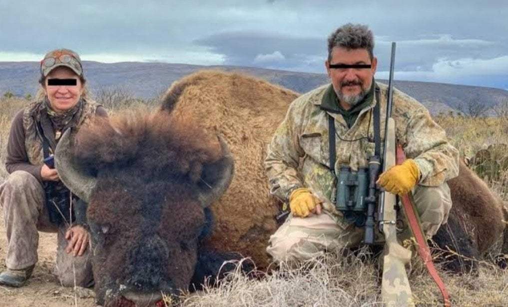 Supuesta caza de bisontes