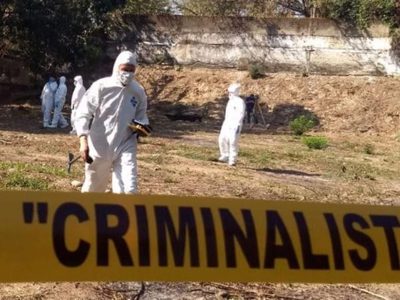 Hijo encuentra a su madre sin vida; sus propios perros se alimentaron del cuerpo