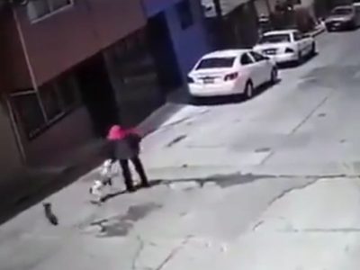 Perro pitbull ataca a una adulta mayor; dueños del animal se niegan a pagar gastos médicos (Video)