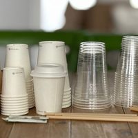 Con solo vasos descartables y unos globos: sorprendé a los más chicos con esta idea