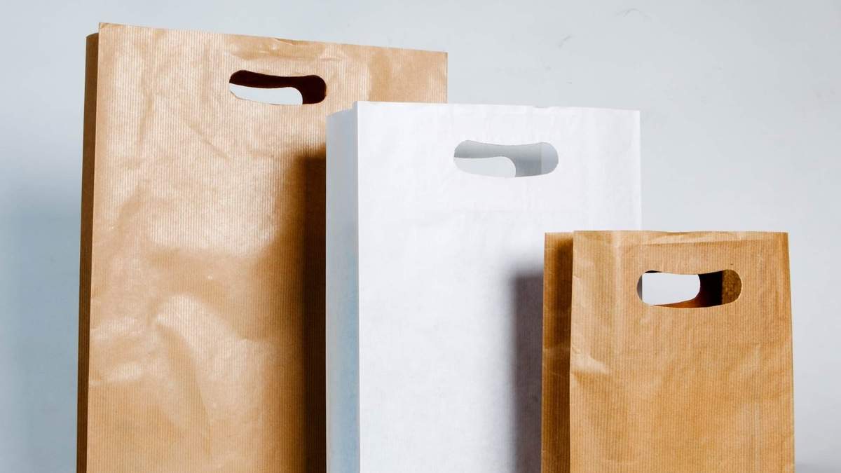 Bolsas de papel. Fuente: (X)
