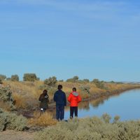 Extraño fenómeno en Chubut: por qué una laguna tiene ahora un color insólito