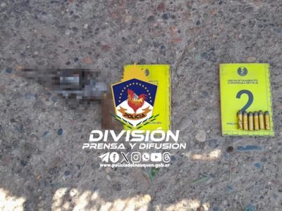 Tres hombres demorados por insultar a la Policía: uno de ellos sacó un arma