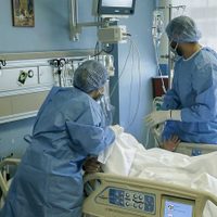 Pico de contagios: se registraron 240 nuevos casos de coronavirus y 11 fallecidos